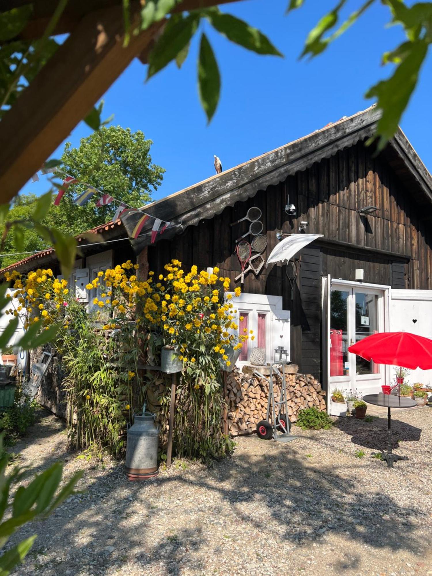 Siedlisko Blanki Apartment Suryty Exterior photo